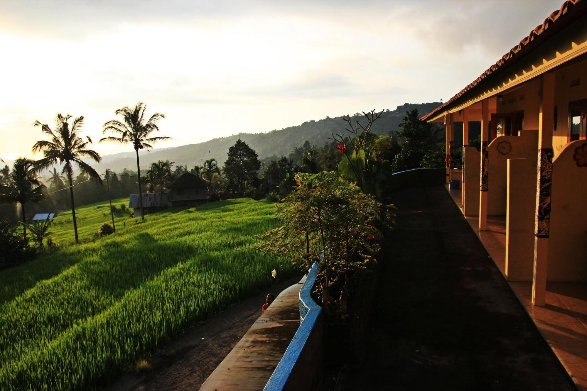 Gangga Homestay Munduk  Exterior photo